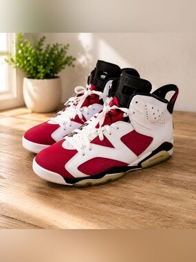 Air Jordan 6 Retro “Carmine” Men’s Size 11 / Women’s Size 12.5 Preowned